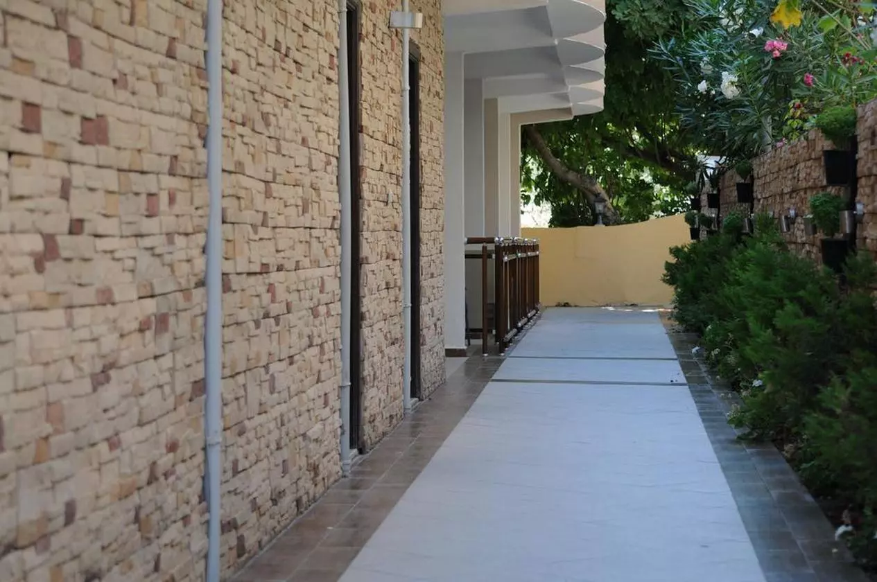 CLESEASIDE_SHABAVIZ (15).jpg